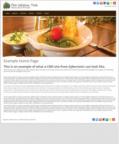 Informational Website Design  - Platinum Package