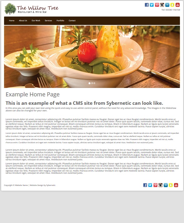 Informational Website Design - Platinum Package Informational Website Design - Platinum Package